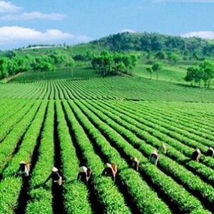 Đề xuất nhu cầu hỗ trợ công nghệ cho doanh nghiệp nhỏ và  vừa và hỗ trợ DNNVV khởi nghiệp sáng  tạo tỉnh Thái Nguyên